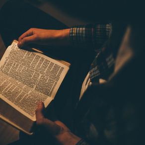 Bible Eater Plan - Review