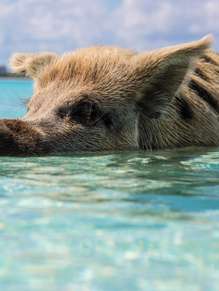 7 Unique Travel Experiences Around the World