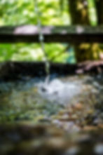 Water trickling into a rain barrel. Off grid water systems.