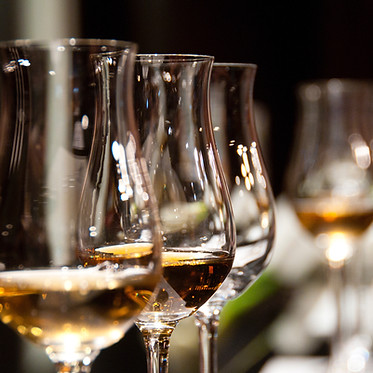 Tulip nosing glasses lined up in a row