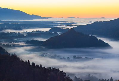 Image by Neven Krcmarek