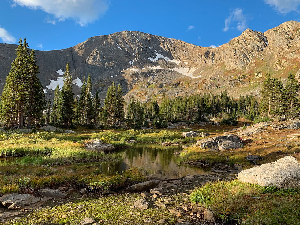 TIC for Birthworkers in Colorado