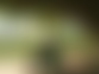 Subtle Signs of Autism in High-Functioning Adults