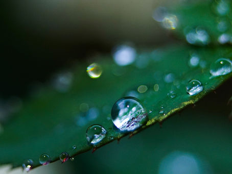 Water News
