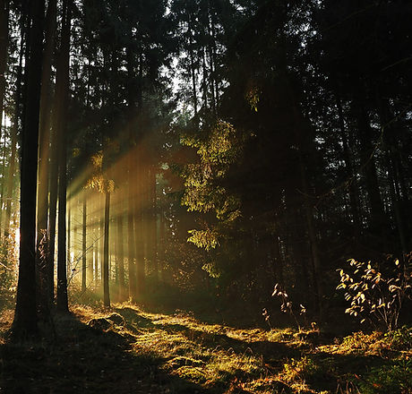 Image by Pascal van de Vendel