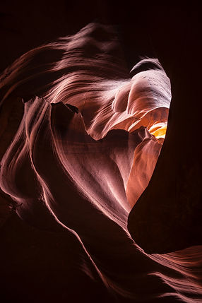 Image by Omer Salom