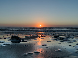 Image by Ethan Brooke