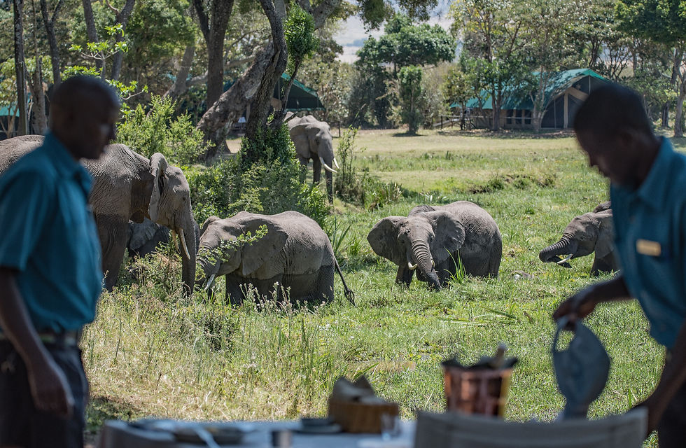 safari package costs