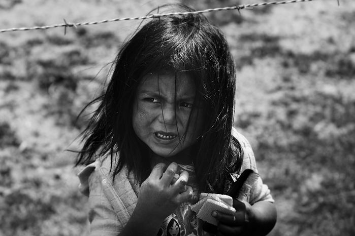 Image by Roi Dimor