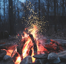 Image by Timothy Meinberg
