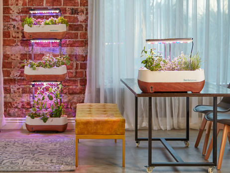 Create an Indoor Vertical Garden