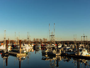 Charming waterfront homes in Steveston BC 2025