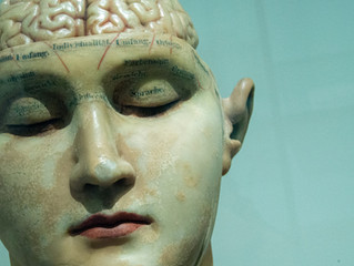 Fat-burning exercise may be the key to make us smarter