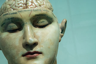 David Mattos, cerveau, psychologie, cerveau