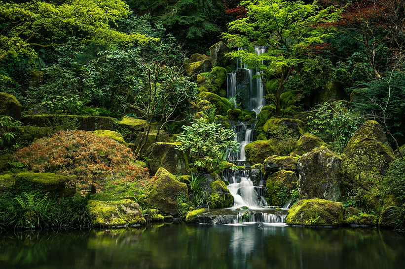 Image by Cody Weaver