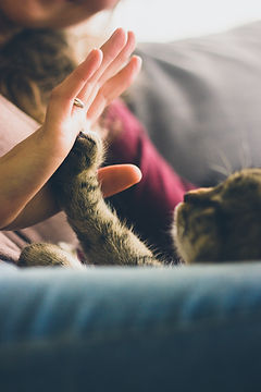 Image by Jonas Vincent