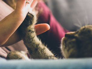 Anziani e Animali - Rompere la solitudine con l’aiuto di un amico a 4 zampe