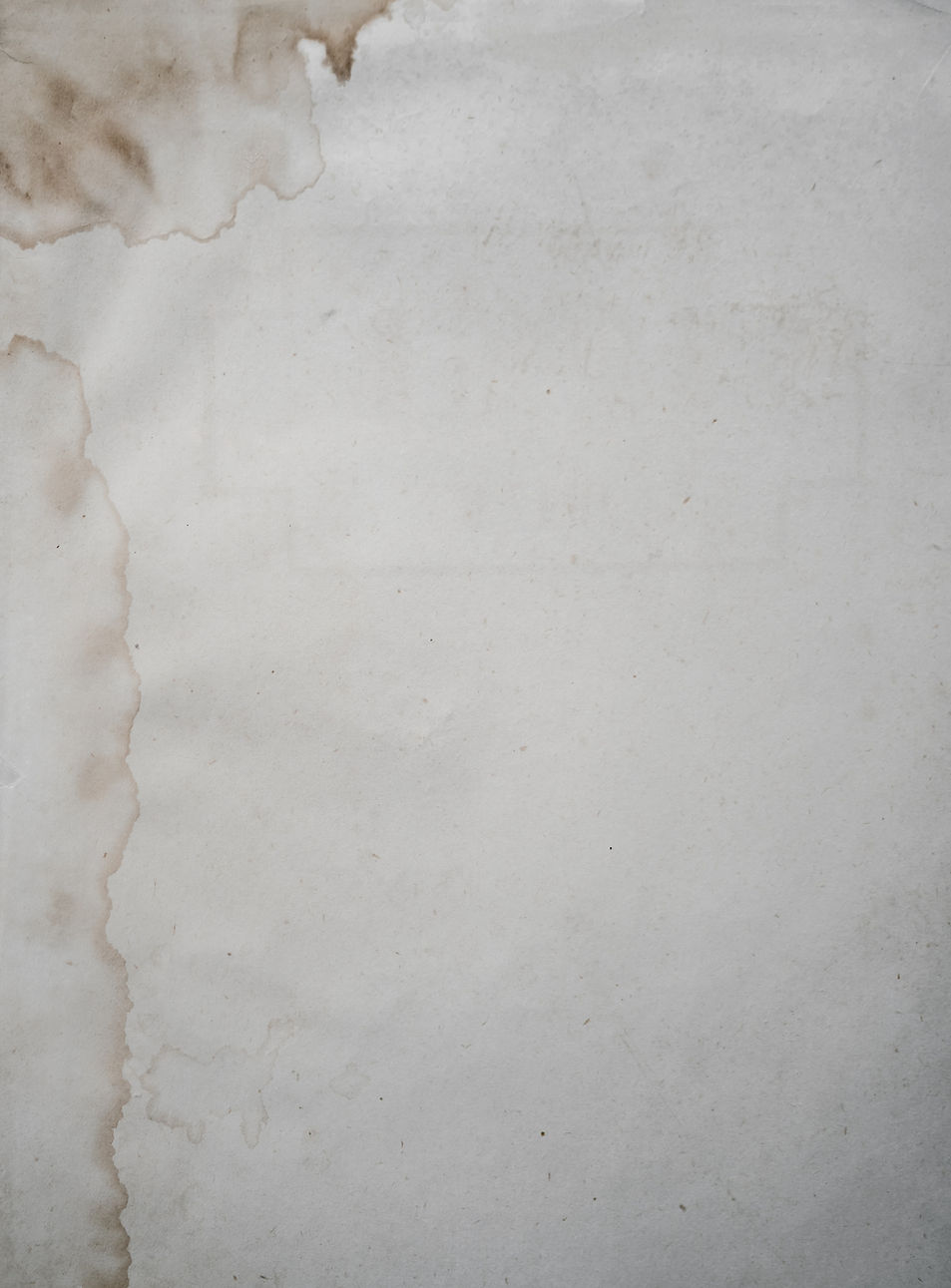 Image de Annie Spratt