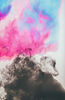 Image by Annie Spratt