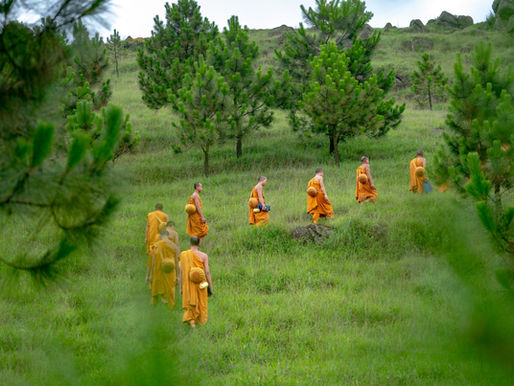 Thích Nhất Hạnh nói về nghệ thuật Ăn & Nấu