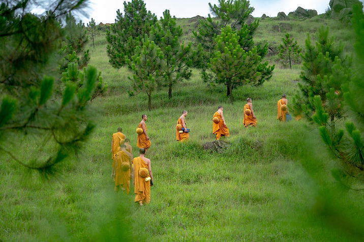 cultural tour to sri lanka