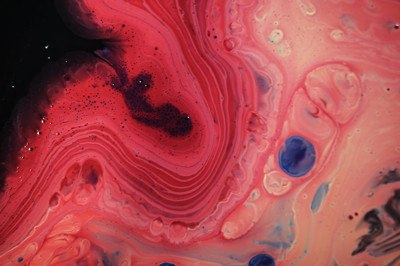 Image by Adrien Converse