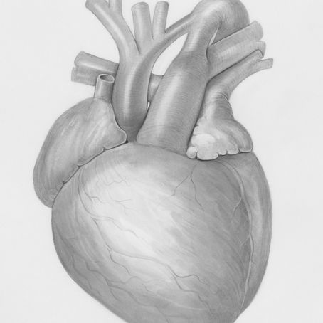 Cardiovascular Disease 