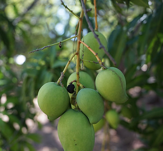 Image by Akshay Chauhan