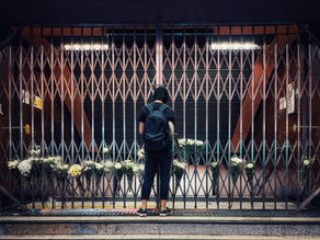 入籍申请被拒怎么办?全方位解析入籍申请被拒的原因、法律依据与应对策略(权威版)