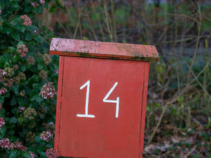 The number 14, representing the statistically uncommon December 14th birthday.