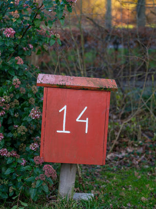The number 14, representing the statistically uncommon December 14th birthday.