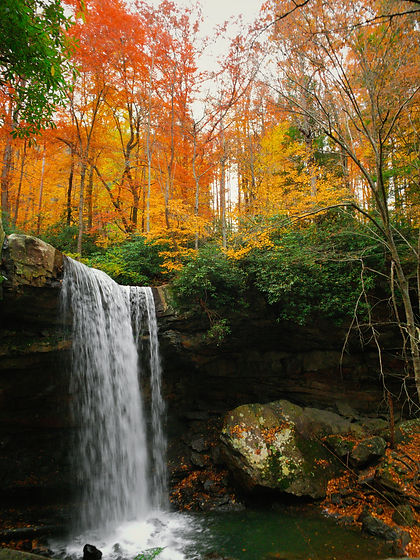 Image by Meriç Dağlı