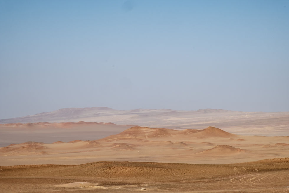 que hacer en Paracas, Perú