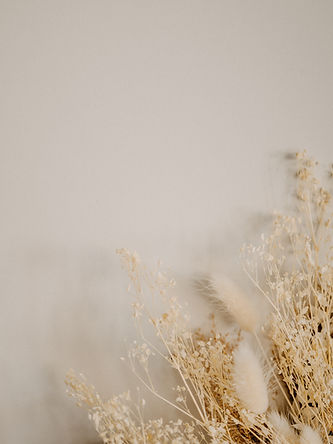 Image by Annie Spratt