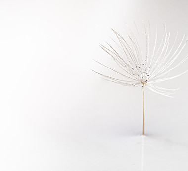 Image by Lanju Fotografie