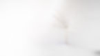 Hintergrund von Sabine Stix für Yogawalks, Yogastunden, Schmerz Therapien und Coaching