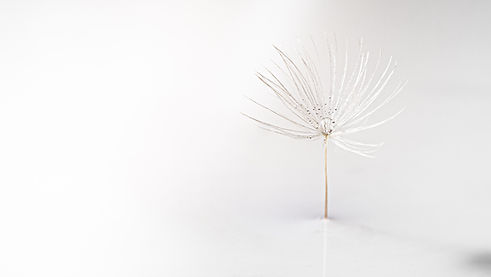 Image by Lanju Fotografie