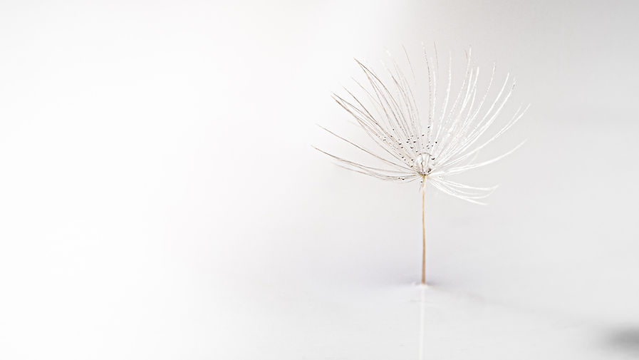 Image by Lanju Fotografie