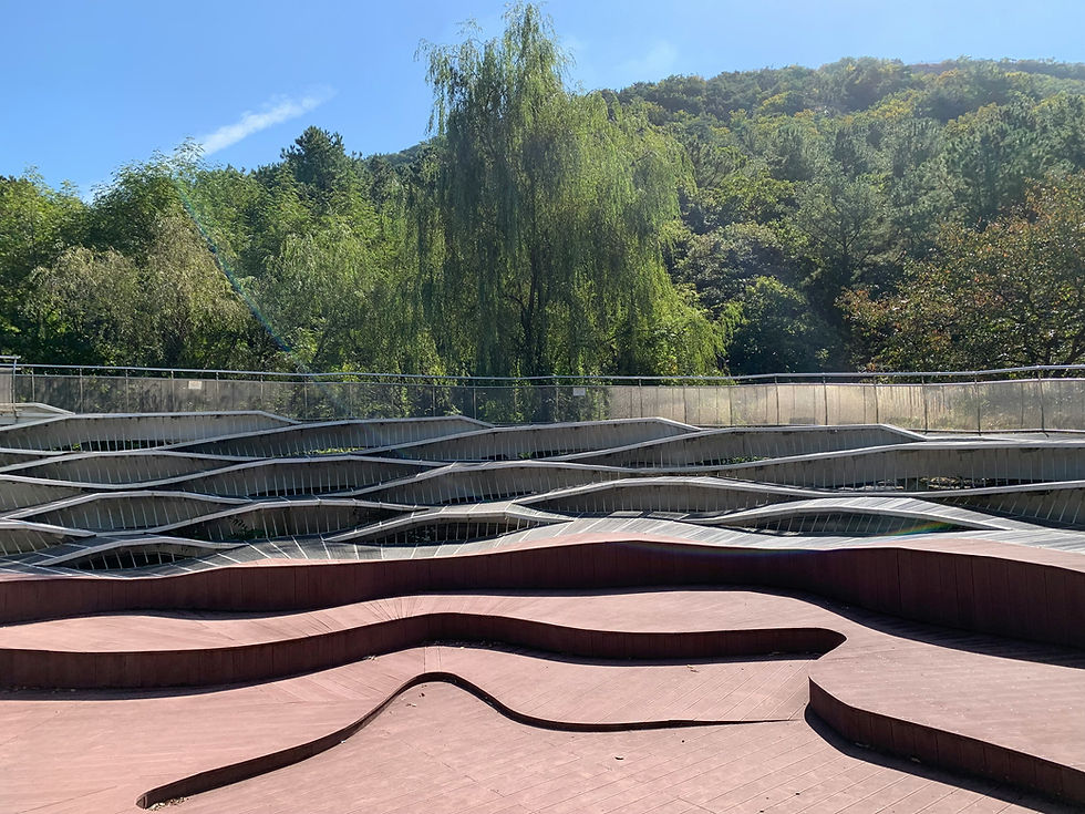 안양 달리기 완벽 가이드