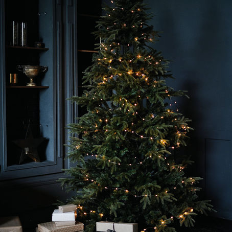 Our Constant Star: Advent Day 6