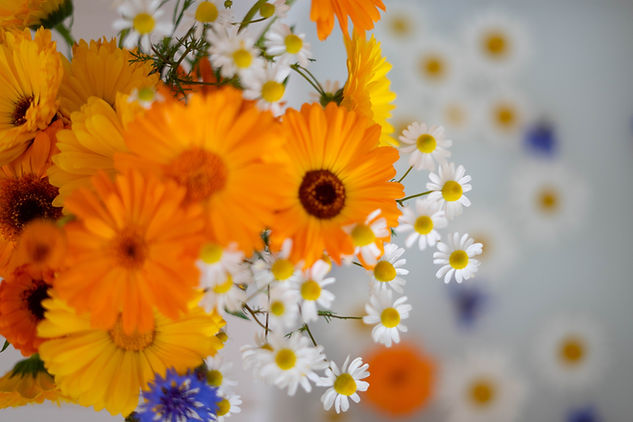 Image by Janine Meuche