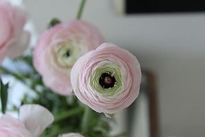 Image by Christina Winter