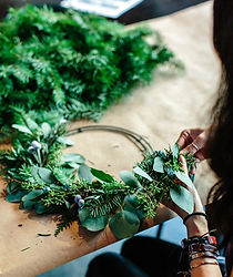 Image by Hillary Ungson