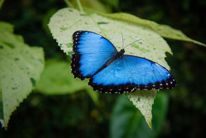 Image by Michal Mrozek