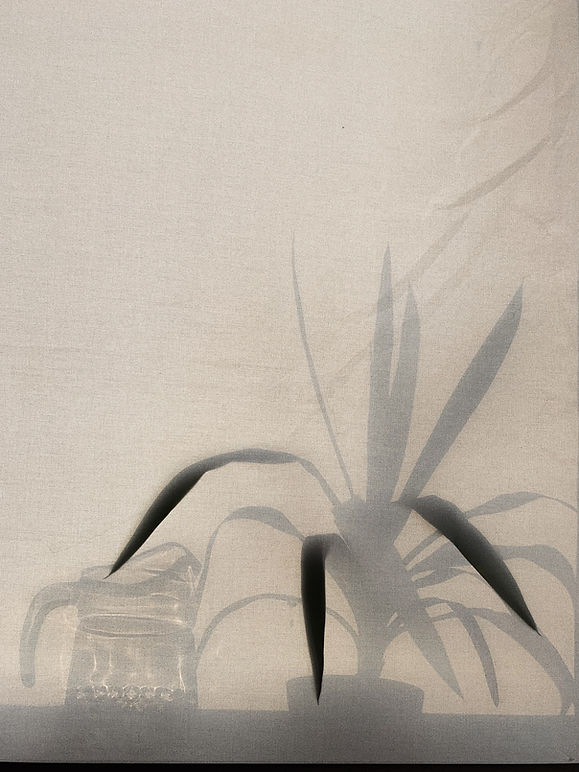 Image by Masha Kotliarenko