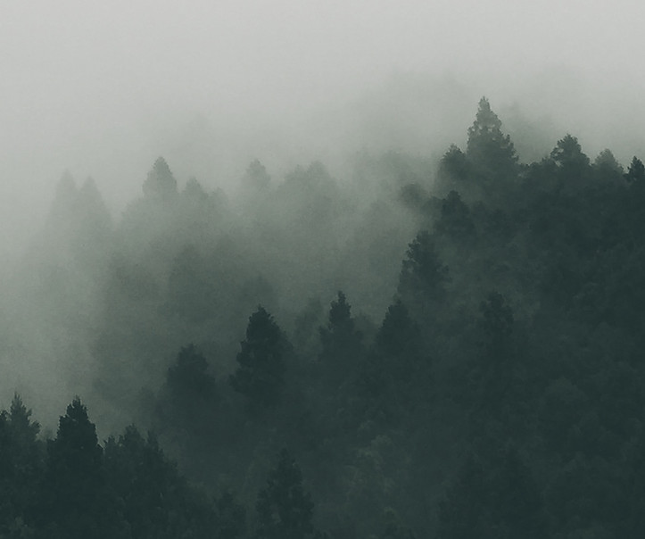 Image by Staffan Kjellvestad