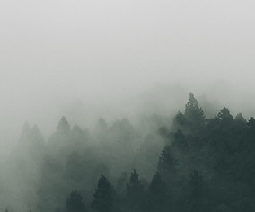 Image by Staffan Kjellvestad
