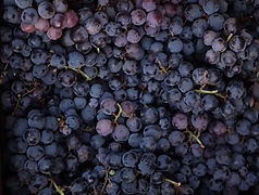 grapes