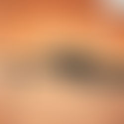 The Day Of The Jackal - Review