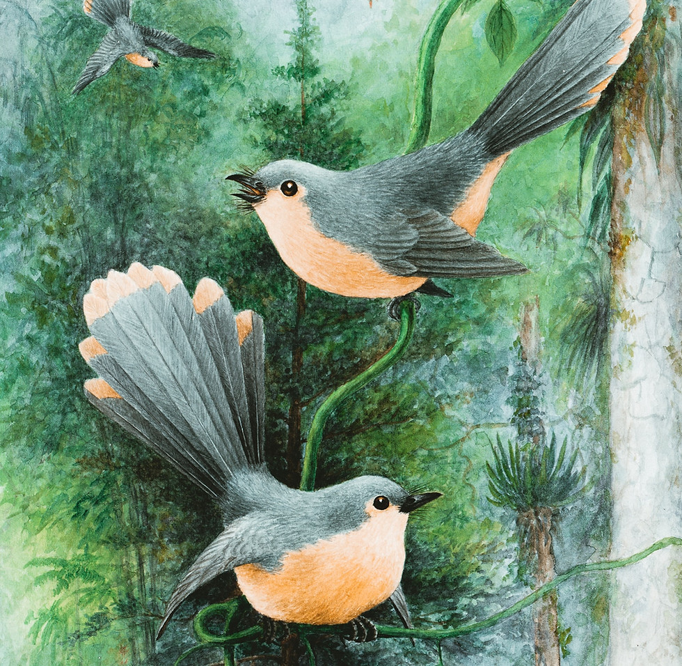 Painting of pair of birds